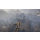 ELEX II Xbox Series X - 662979 - zdjęcie 4